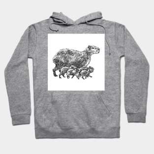 Capybara family Hoodie